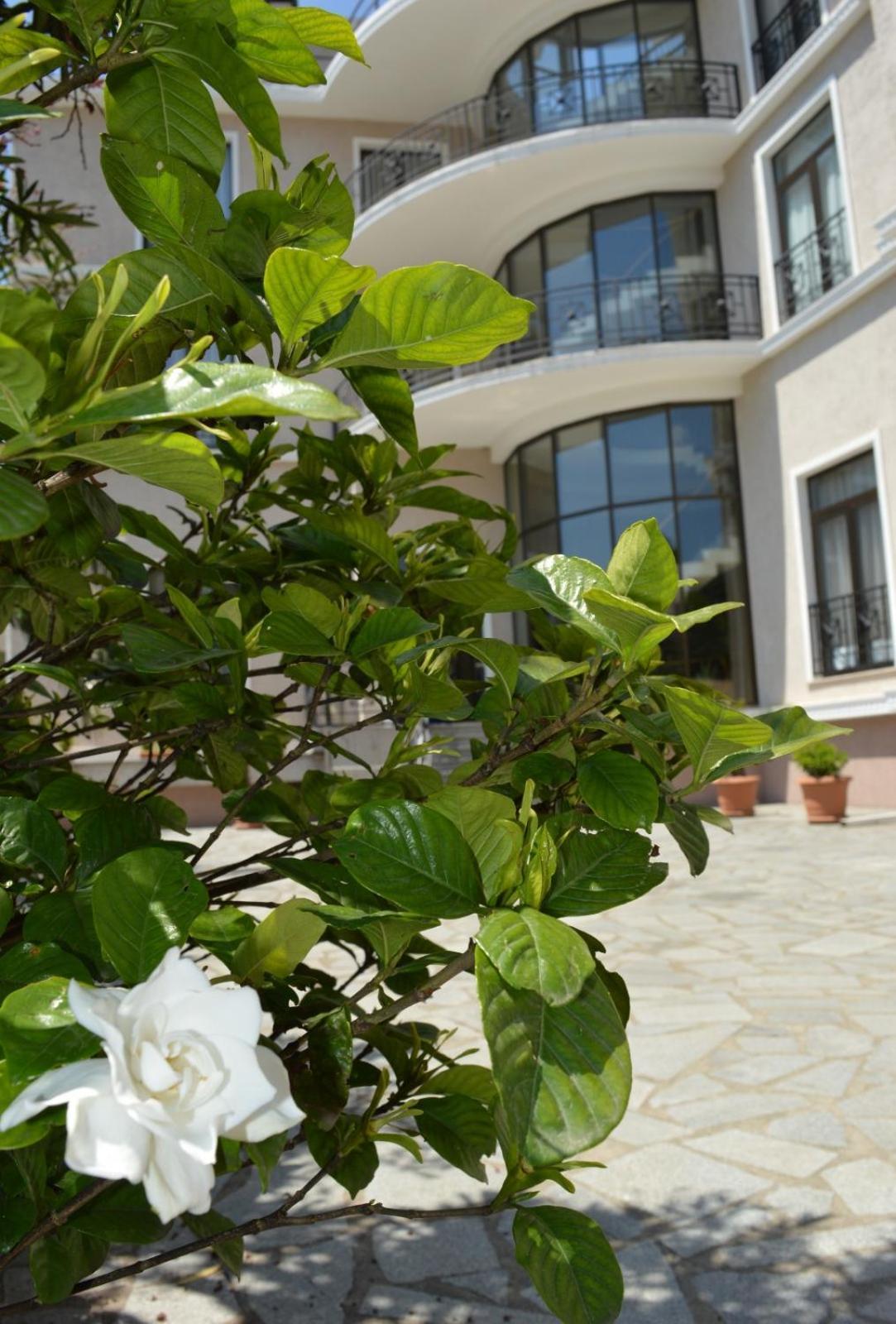 Boutique Hotel Argo Koutaïssi Extérieur photo
